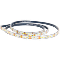 Scangrip Rope Light LED Lichtslang 25m 20.000 lumen - 03.5815 - 5708997358153 - 03.5815 - Mastertools.nl