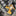 DeWALT DCD805H2T Compacte accu klop-/schroefboormachine 18V XR 5.0Ah POWERSTACK in TSTAK - - - Mastertools.nl