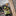 DeWALT DCH333X2 Accu Combihamer SDS+ 3,5J 54V XR FlexVolt 9.0Ah in TSTAK - - - Mastertools.nl