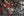 Milwaukee M18 FUEL™ FTHCHS35-0 Accu tophandle kettingzaag 35 cm 18V Basic Body - 4933479588 - - - Mastertools.nl