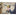 DeWALT DCF887N Accu slagschroevendraaier 205Nm 18V XR Basic Body - - - Mastertools.nl