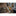 DeWALT DCW220NT Accu Bandschuurmachine 75x533mm Brushless 18V XR Basic Body in TSTAK - 5035048793848 - DCW220NT-XJ - Mastertools.nl