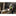 DeWALT DT2978 Alligatorzaagblad HSS 430mm Ruw hout - - - Mastertools.nl