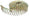 DeWALT Rolspijkers Gegalvaniseerd 3,05x22mm VE=7200 - DNR3122GZ - - - Mastertools.nl