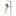 Festool FS-HZ 160 Snelspanklem - 491594 - - - Mastertools.nl