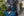 Bosch Professional GBL 18V-750 Accu Bladblazer 18V Basic Body - 06008D2000 - - - Mastertools.nl