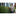 DeWALT DCMHT573N Accu Heggenschaar 65cm 54V XR FlexVolt Basic Body - - - Mastertools.nl