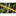 DeWALT DCMHT573N Accu Heggenschaar 65cm 54V XR FlexVolt Basic Body - - - Mastertools.nl