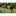 DeWALT DCMPP568N-XJ 18V XR Snoeischaar Basic Body - - - Mastertools.nl