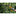 DeWALT DCMPP568N-XJ 18V XR Snoeischaar Basic Body - - - Mastertools.nl