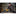 DeWALT DCV501LN 18V XR L-klasse steelstofzuiger met opzetstukken in opbergtas (zonder accu en lader) - 5035048738238 - DCV501LN-XJ - Mastertools.nl