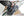 Festool Handcirkelzaag HK 55 EBQ-Plus-FS - 576126 - 4014549359174 - 576126 - Mastertools.nl