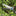 Hyundai Heggenschaar 55cm - 58071 - - - Mastertools.nl
