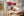 Milwaukee M18 FUEL™ FFNS-502C Accu Constructie Tacker enkelschot 18V 5.0Ah in koffer - 4933478302 - - - Mastertools.nl