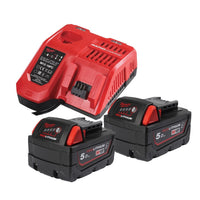 Milwaukee M18 NRGCR-502 Chemisch Bestendige Accu Starterset 18V 2x 5.0Ah - 4932479831 - 4058546376253 - 4932479831 - Mastertools.nl